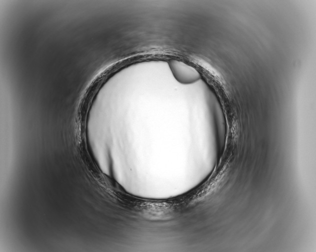 X0000093531310200711021303