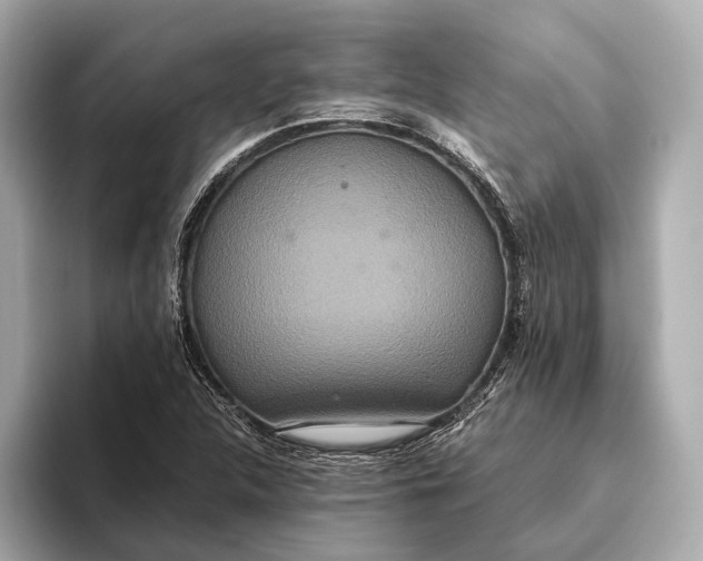 X0000093531312200711021303