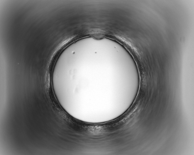 X0000093531317200711021303