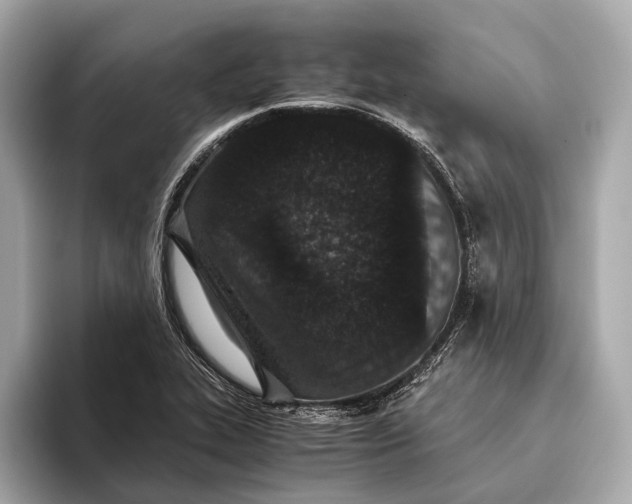 X0000093531319200711021303