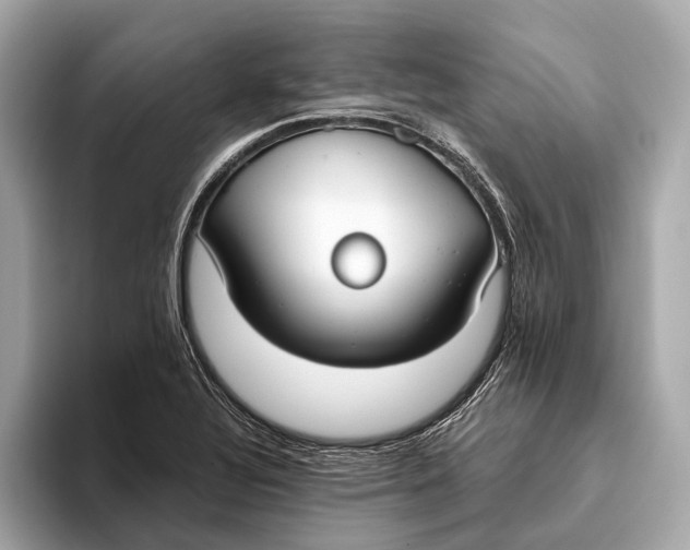 X0000093531320200711021303