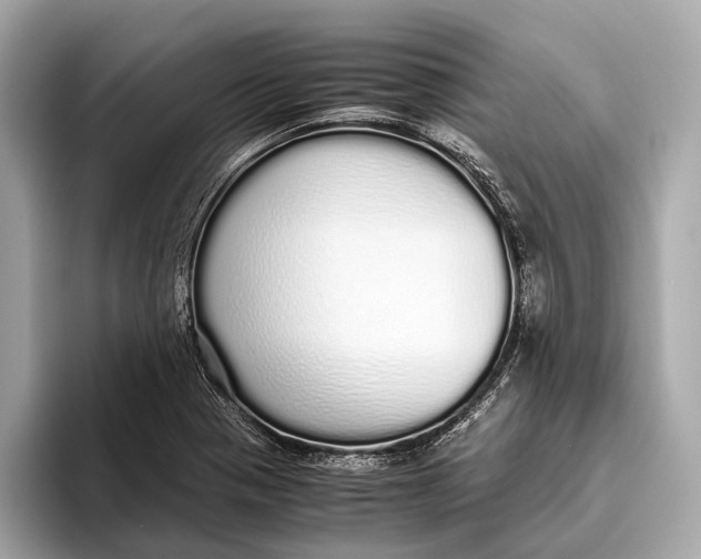 X0000093531321200711021303