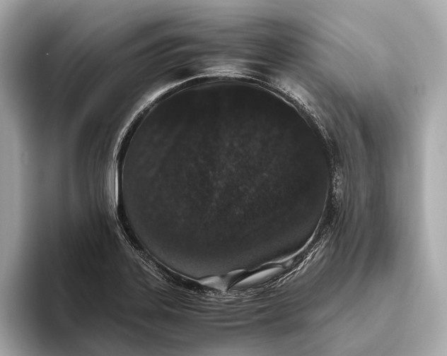 X0000093531323200711021303