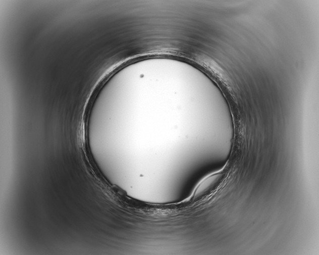 X0000093531324200711021303