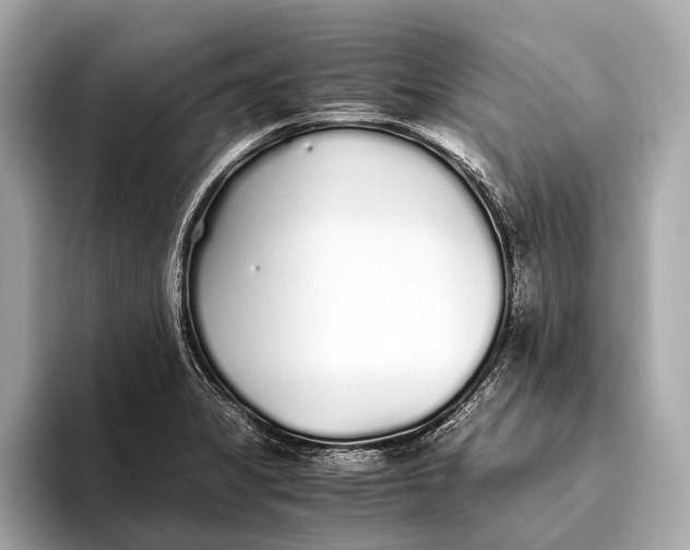 X0000093531325200711021303