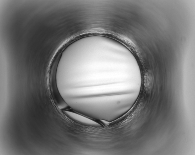 X0000093531326200711021303