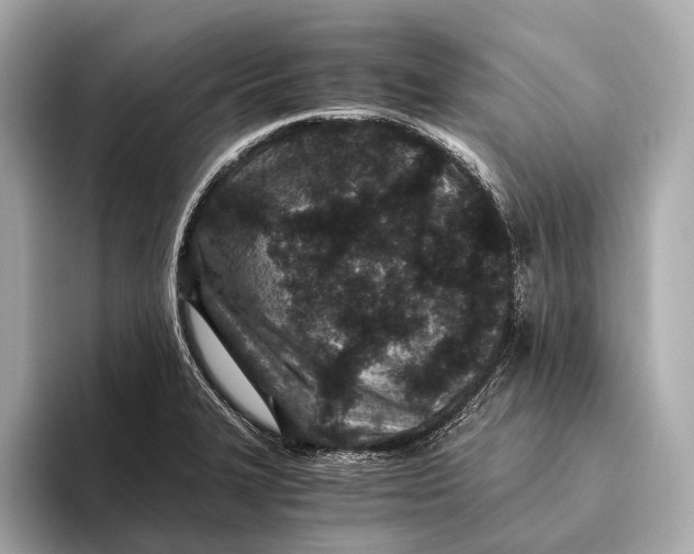 X0000093531327200711021303