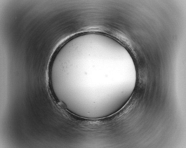 X0000093531328200711021303