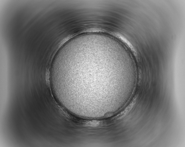 X0000093531329200711021303