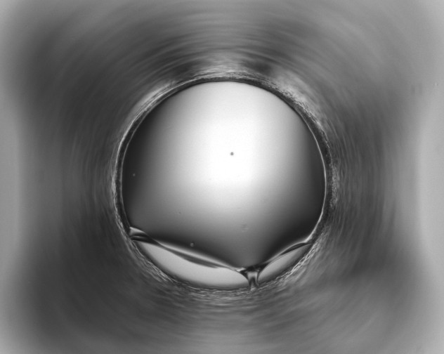 X0000093531330200711021303