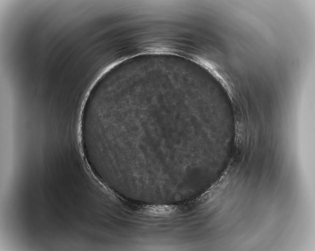 X0000093531331200711021303