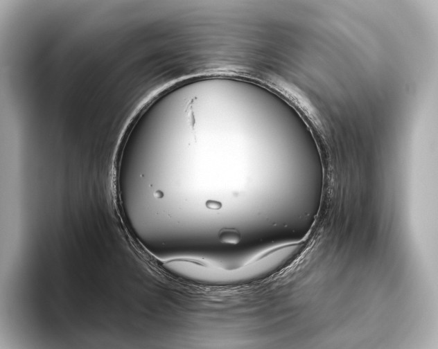 X0000093531332200711021303