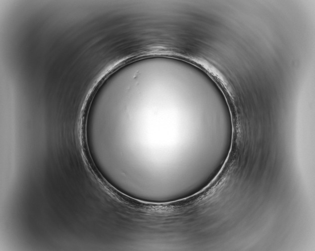 X0000093531333200711021303