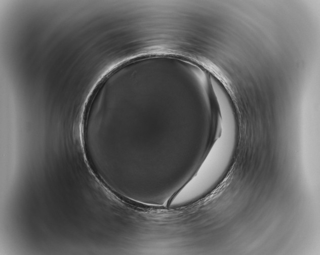 X0000093531334200711021303