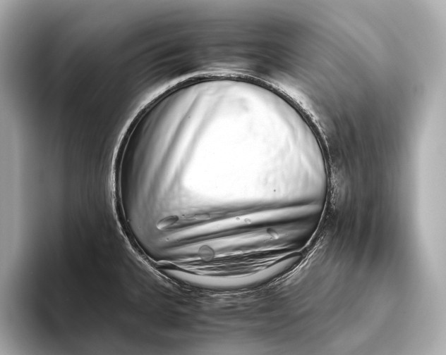 X0000093531335200711021303