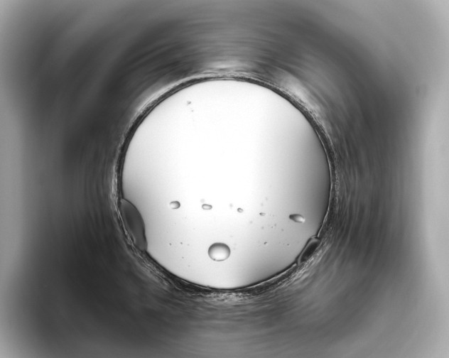 X0000093531336200711021304