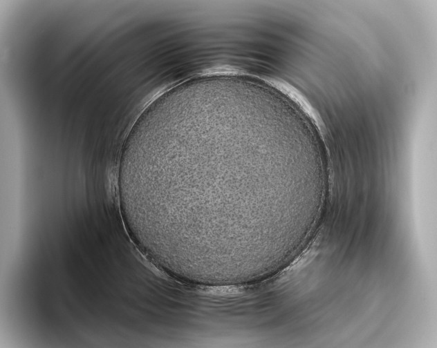 X0000093531337200711021304