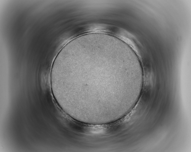 X0000093531338200711021304