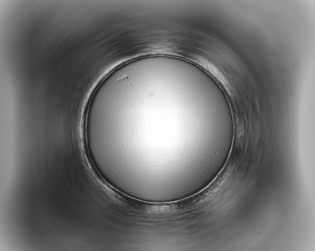 X0000093531339200711021304