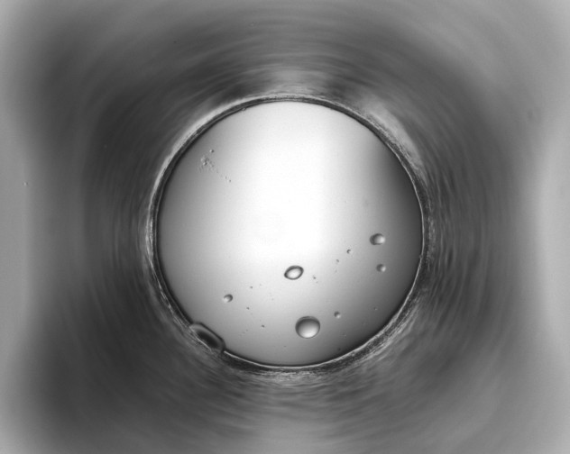 X0000093531340200711021304