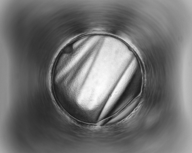 X0000093531341200711021304