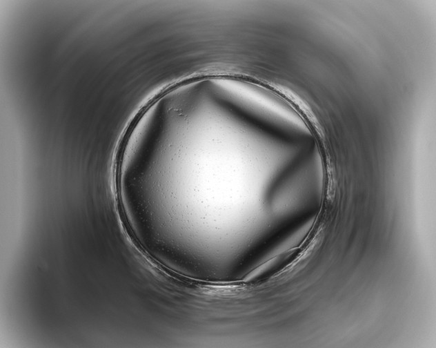 X0000093531342200711021304