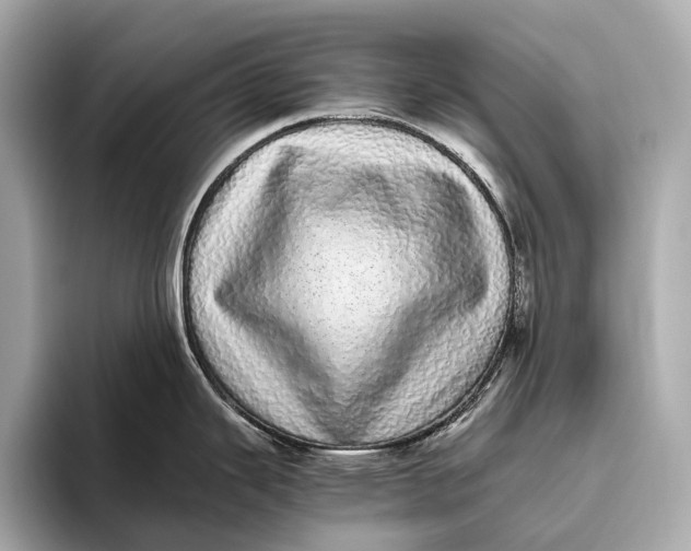 X0000093531343200711021304