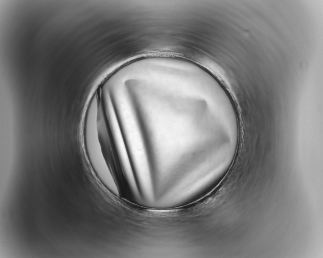 X0000093531344200711021304