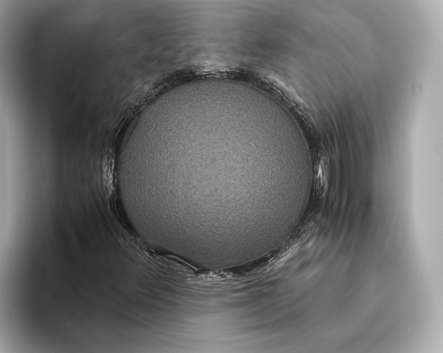 X0000093531348200711021303