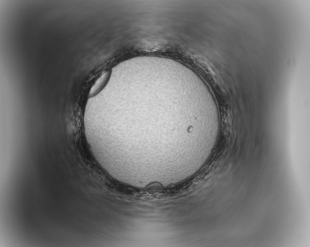 X0000093531349200711021303