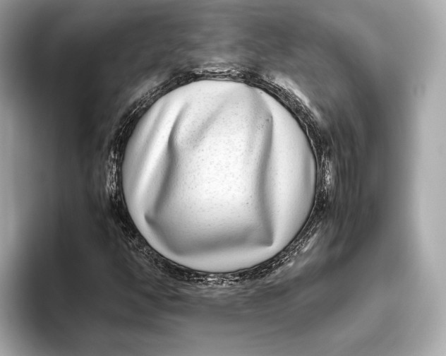 X0000093531350200711021303