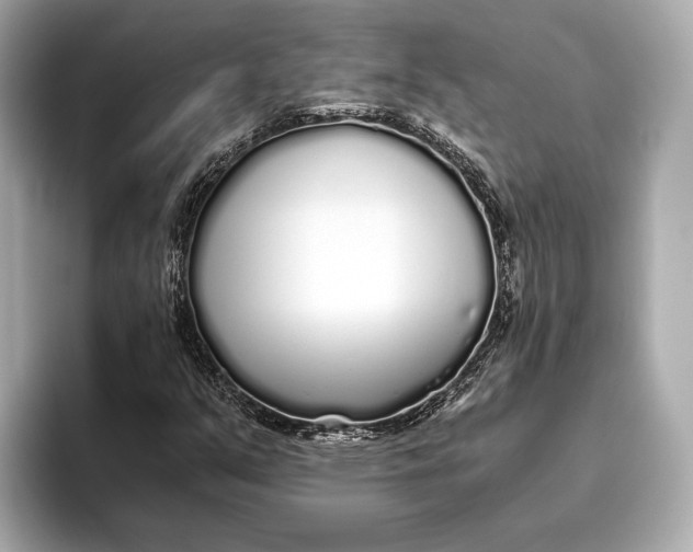 X0000093531351200711021303