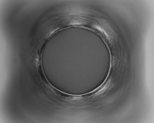 X0000093531353200711021303