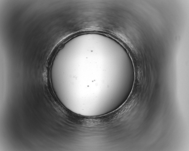 X0000093531356200711021303