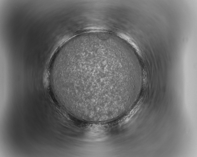 X0000093531357200711021303