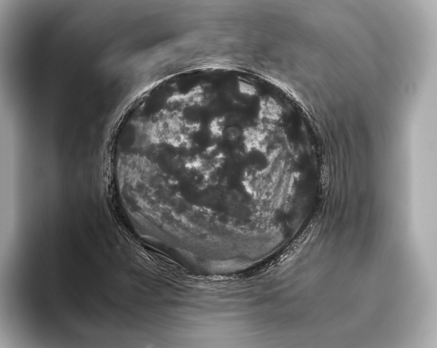 X0000093531359200711021303