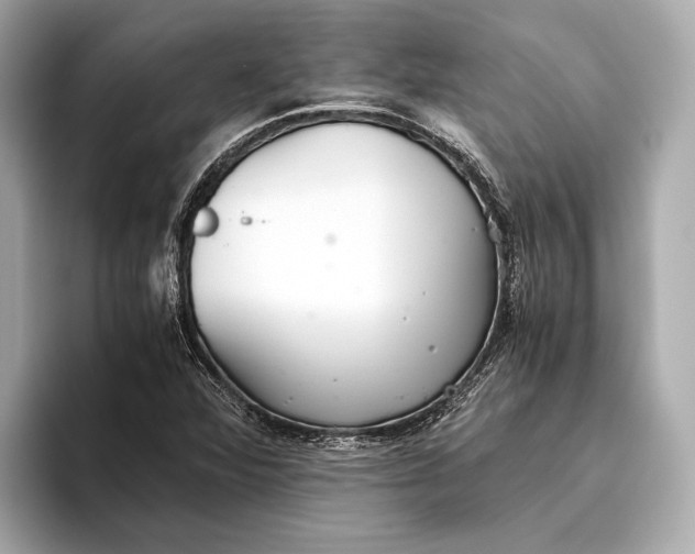 X0000093531360200711021303