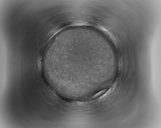 X0000093531361200711021303