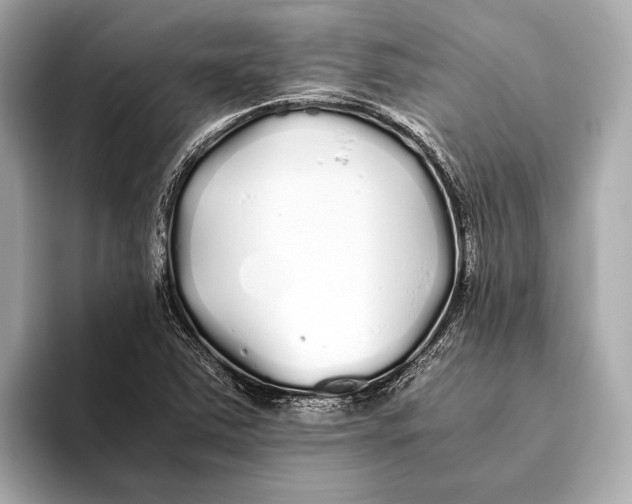 X0000093531363200711021303