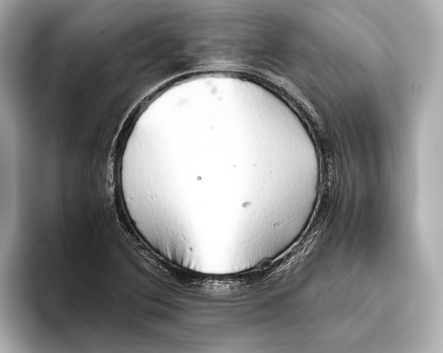 X0000093531364200711021303