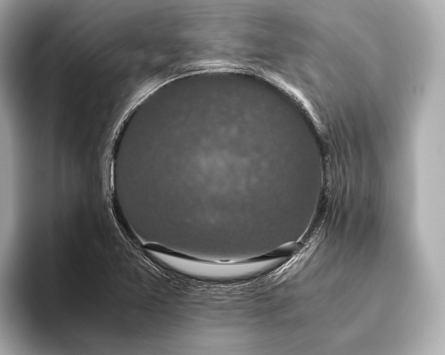 X0000093531365200711021303