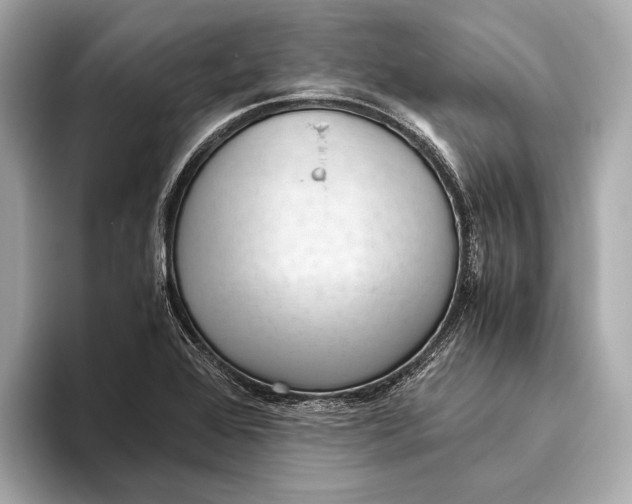 X0000093531368200711021303