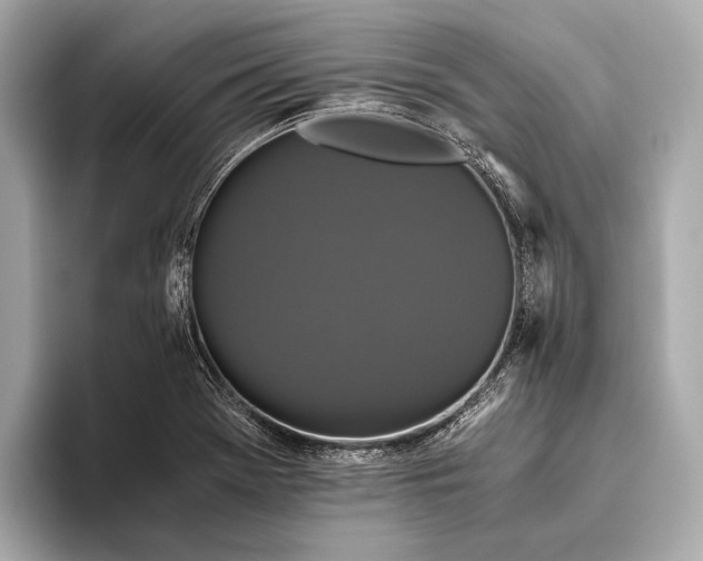 X0000093531369200711021303