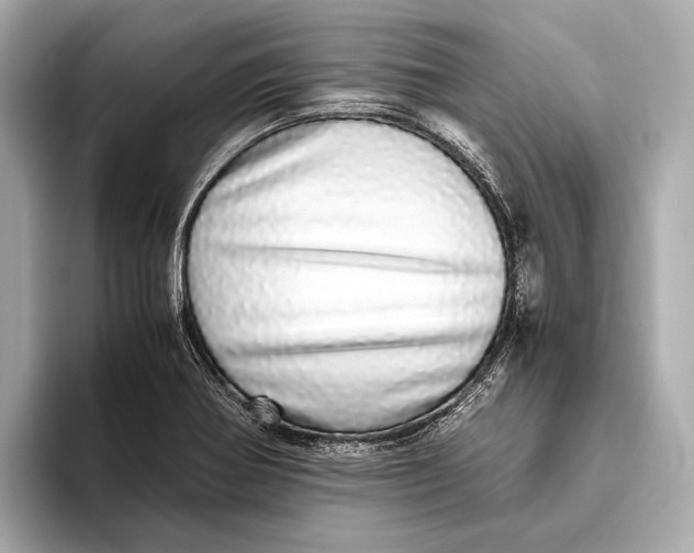 X0000093531370200711021303