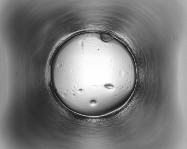 X0000093531371200711021303