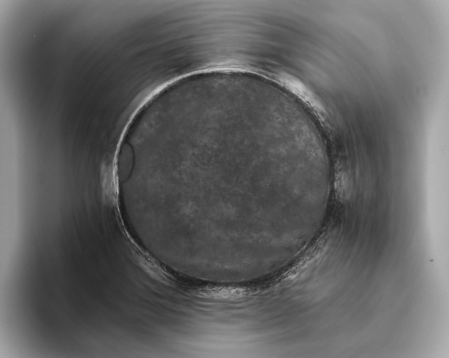 X0000093531372200711021303