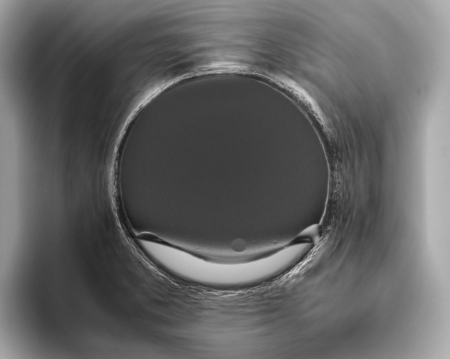 X0000093531373200711021303