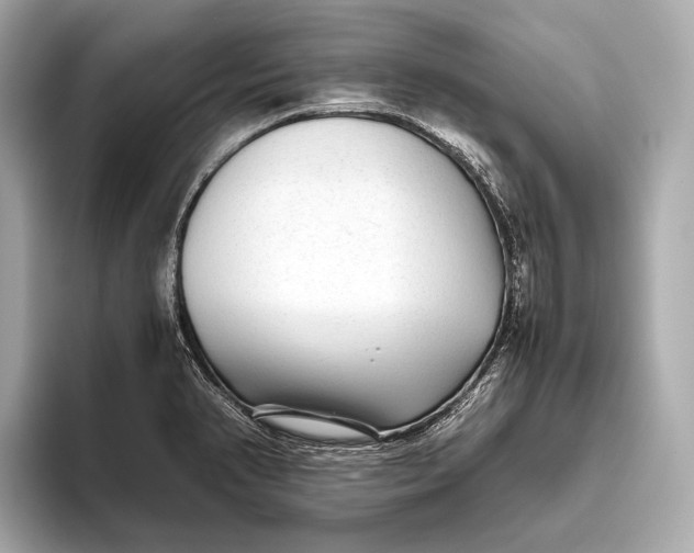 X0000093531374200711021303