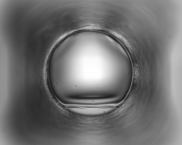 X0000093531375200711021303