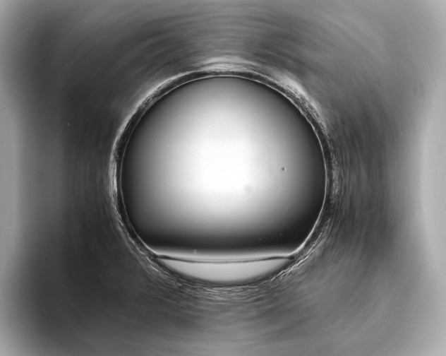 X0000093531376200711021303